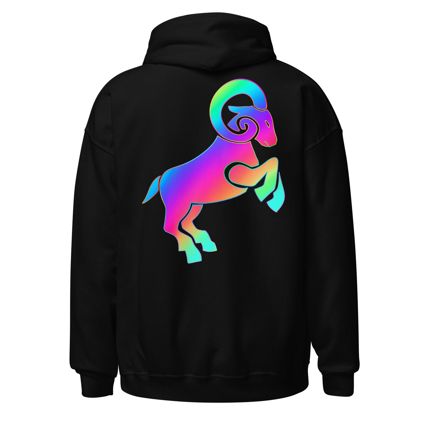 Unisex Hoodie ARIES