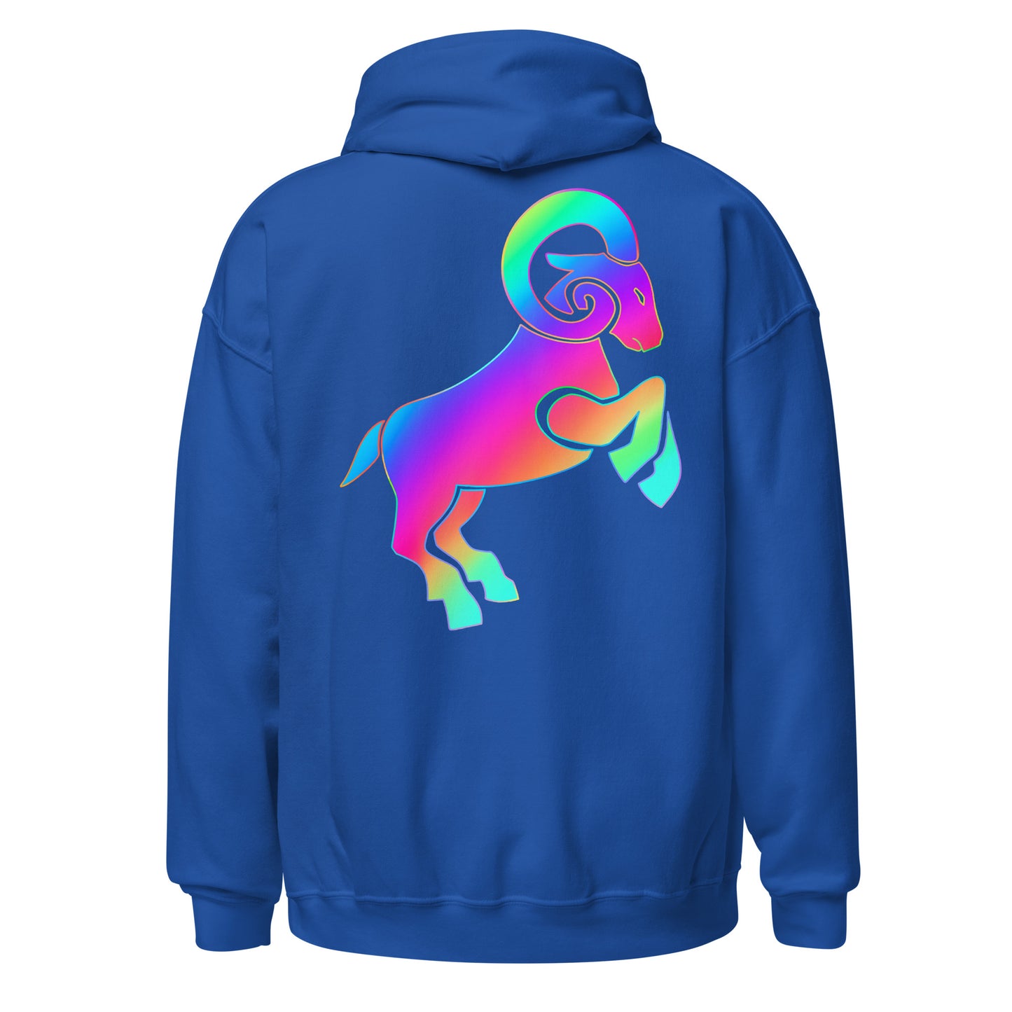 Unisex Hoodie ARIES